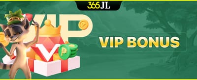 VIP Bonus Casino Promotion
